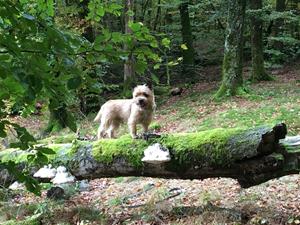 IMG_4130 IMG_4130