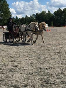 Elin med andra paret Elin med andra paret
