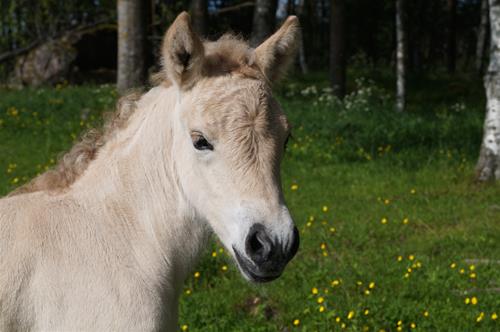 DSC02563 DSC02563