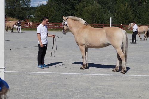 DSC02796 DSC02796