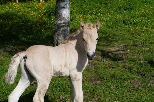 DSC02560 DSC02560