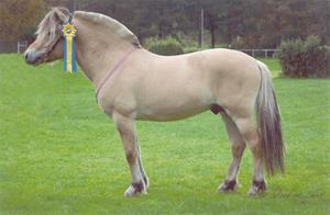 Kidde 262 Kidde 262