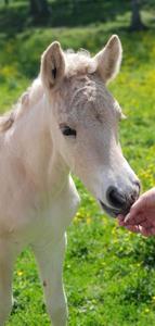 thumbnail_IMG_1192 thumbnail_IMG_1192