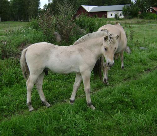 Kronos - sida Kronos - sida