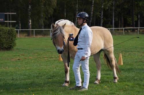 DSC04635 DSC04635