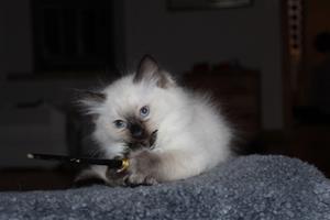 IMG_2947 IMG_2947