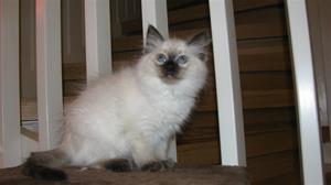 IMG_4806 IMG_4806