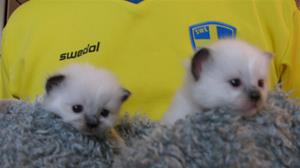 IMG_4508 IMG_4508