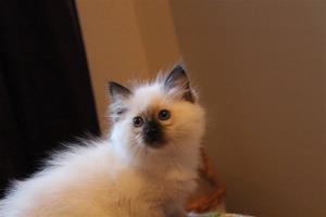 IMG_2832 IMG_2832