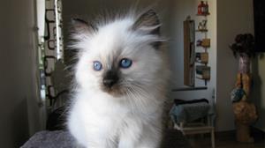 IMG_4770 IMG_4770