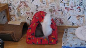IMG_4681 IMG_4681