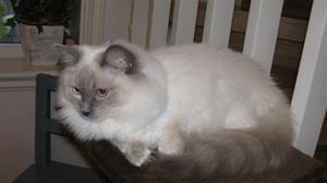 IMG_3311 IMG_3311