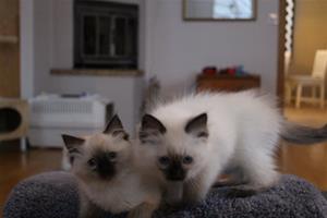IMG_2940 IMG_2940