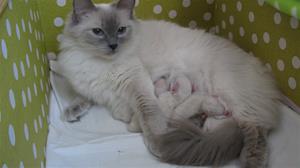 IMG_5167 IMG_5167