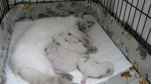 IMG_4442 IMG_4442