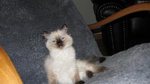 IMG_4818 IMG_4818