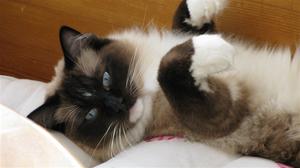IMG_1601 IMG_1601