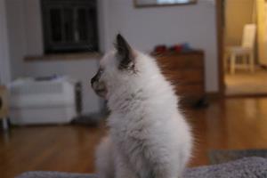 IMG_2920 IMG_2920