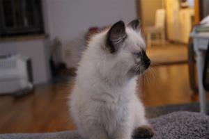 IMG_2913 IMG_2913