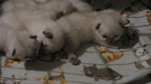IMG_4484 IMG_4484