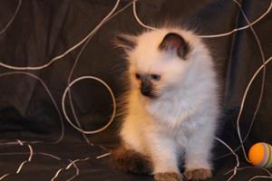 IMG_2799 IMG_2799