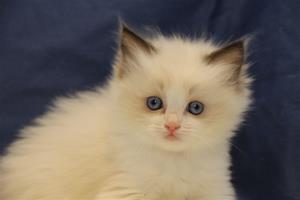 IMG_1991 IMG_1991