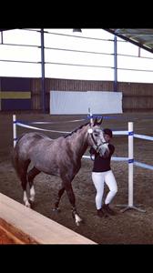 IMG_4749 IMG_4749