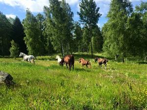 IMG_4756 IMG_4756