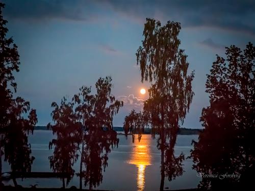 Moonlight Moonlight