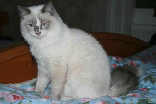 Bild 058 Bild 058