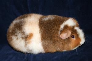 IMG_2348 IMG_2348