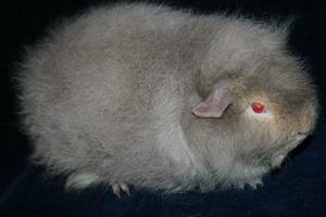 IMG_4132 IMG_4132