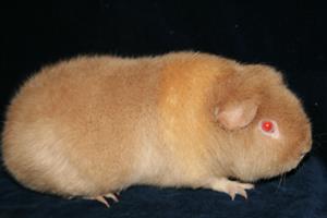 IMG_3188 IMG_3188