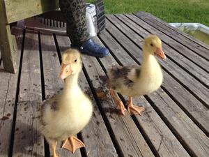 IMG_0704 IMG_0704