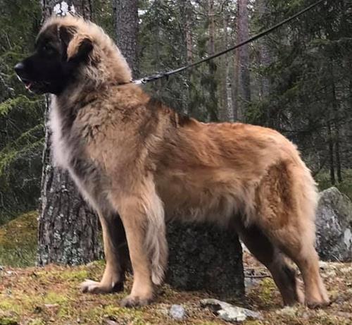 2, 3 år_1 2, 3 år_1
