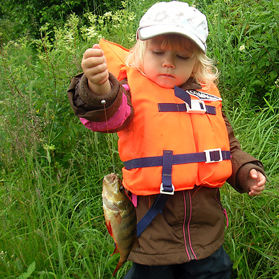 Fiskebild 3 Fiskebild 3