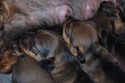 Dsc_0040 Dsc_0040