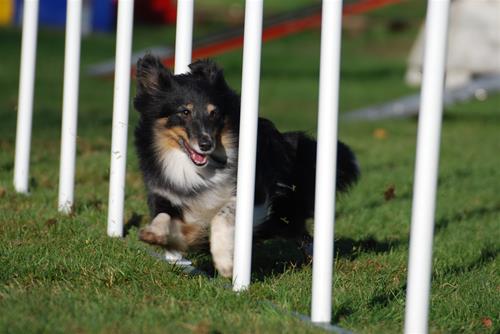 DSC_0456 DSC_0456