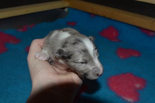 DSC_0564 DSC_0564