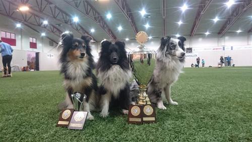 22528154_10212294022897181_2046325775327729026_n 22528154_10212294022897181_2046325775327729026_n