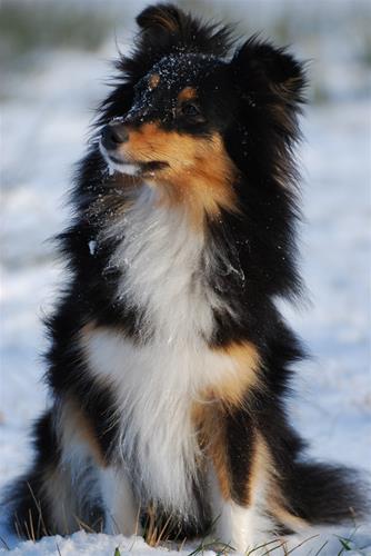 DSC_0900 DSC_0900