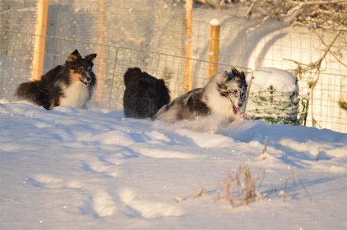 DSC_0890 DSC_0890