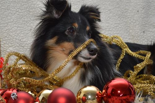 DSC_0450 DSC_0450