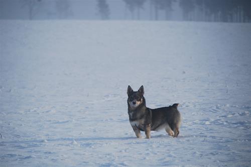 DSC_0082 DSC_0082