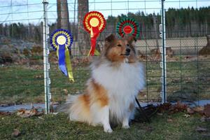 nellie champion nellie champion