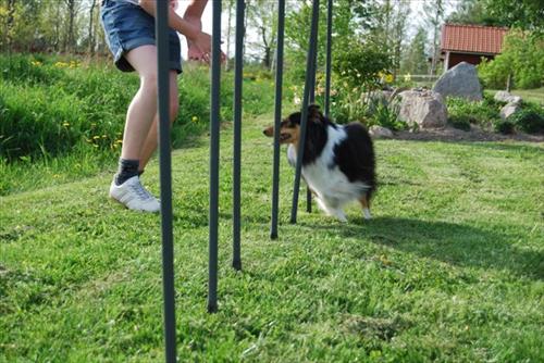 Agility1 Agility1