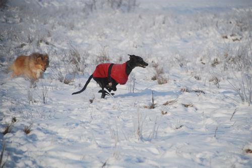 DSC_0295 DSC_0295