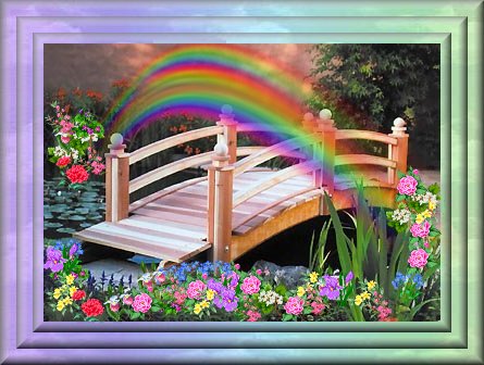 Bridge Bridge