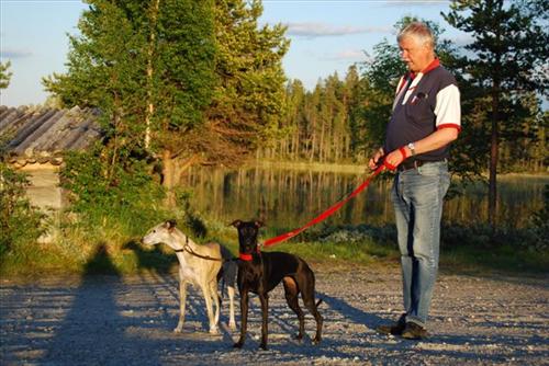 JanneDogs JanneDogs