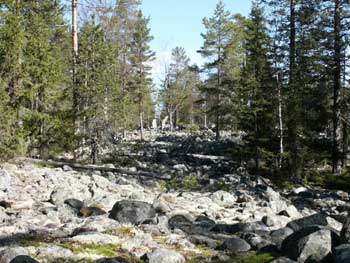 vardkase_350 vardkase_350